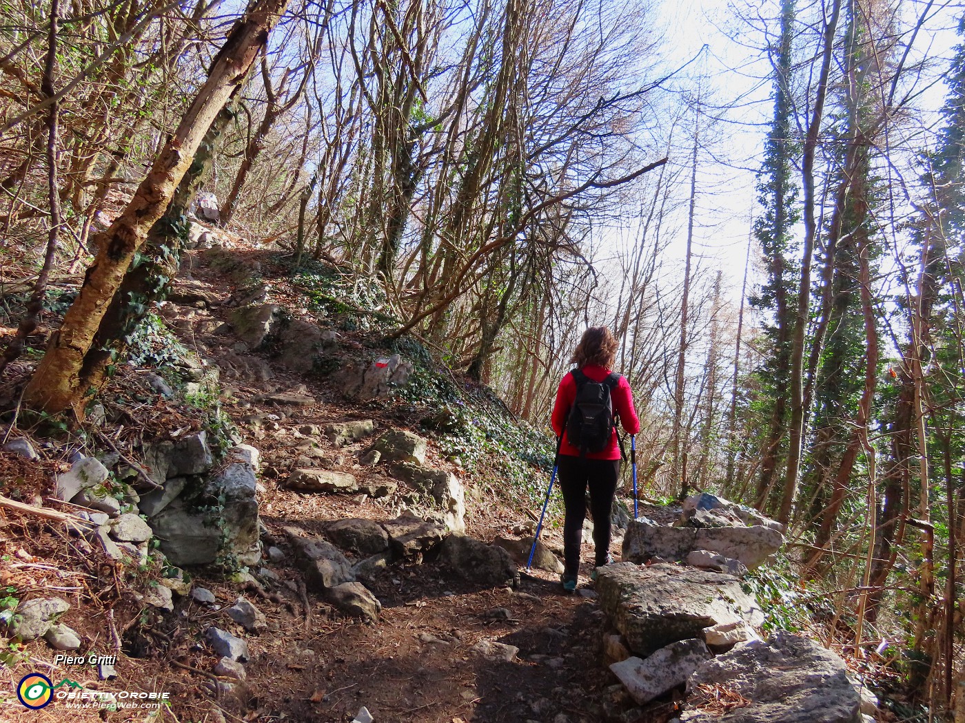 12 In salita prendiamo a dx la variante bassa del sent. 505.JPG